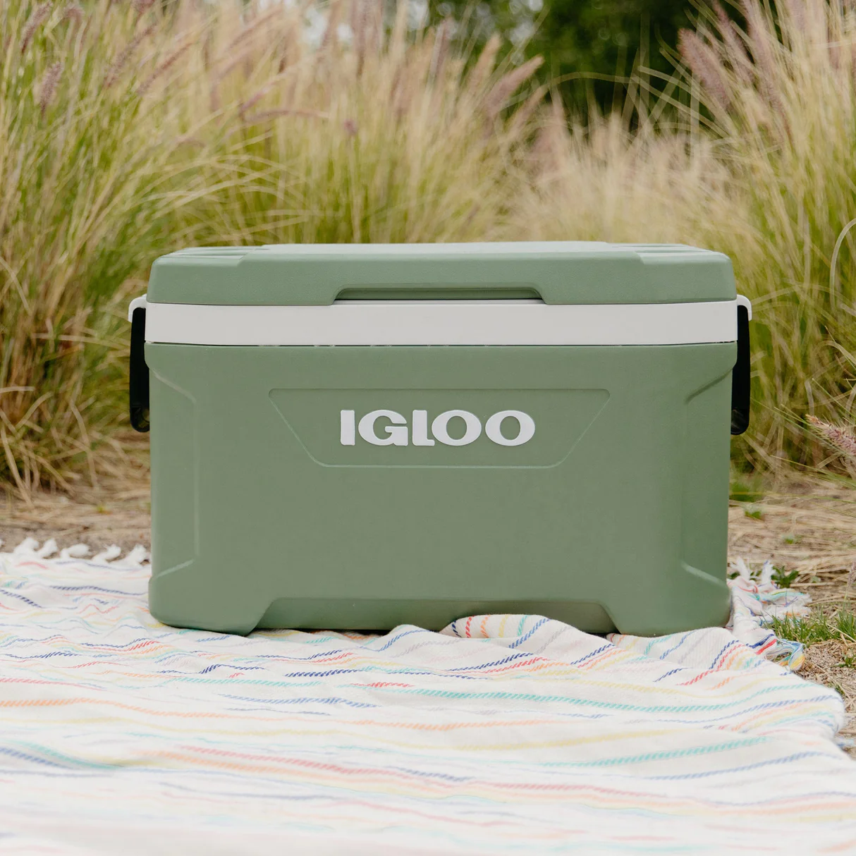 Igloo
