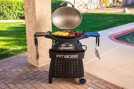 Pitboss - Sportsman 2 Grey 