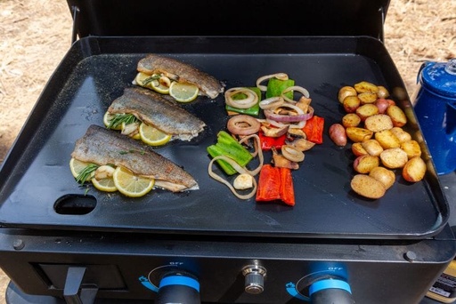Pitboss - Ultimate Plancha:  2 Burner with Cart 