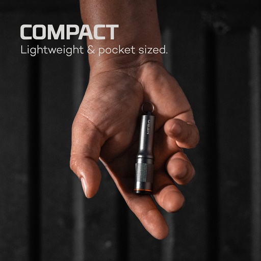 Nebo - COMBO PACK -  LIL LARRY FLEX 500 & EINSTEIN DUO 400