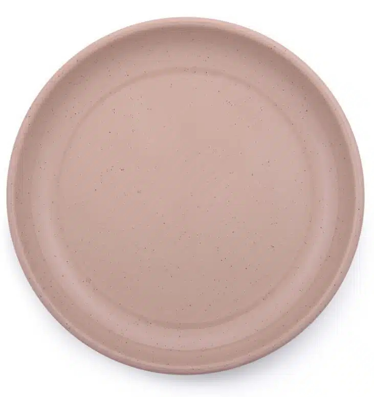 BareBones - Rolled Enamelware Plate - Dusty Rose 4PC Set