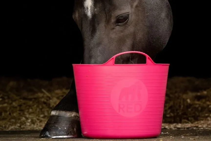 Red Gorilla tubs and buckets