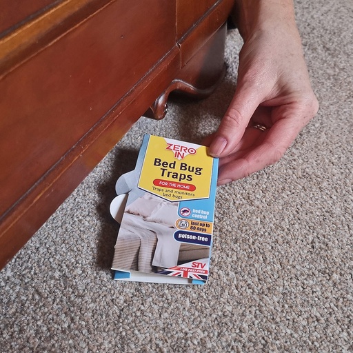 STV Bed Bug Trap - 5-Pack
