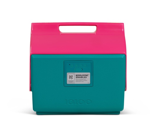 IGLOO - Playmate Classic Kool Tunes - Retro - Dark Jade DISC