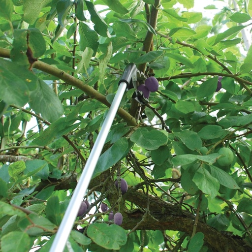 STV Grip N' Grab Picker