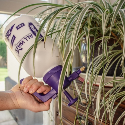 STV All Ways Multi-Use Pressure Sprayer - 2L
