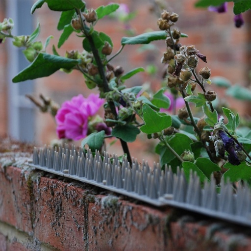 STV  Prickle Strip Garden Fence Topper - 45cm