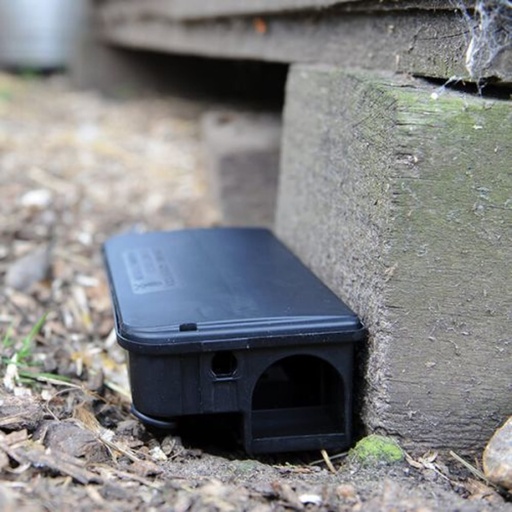 STV  Rat & Mouse Bait Station