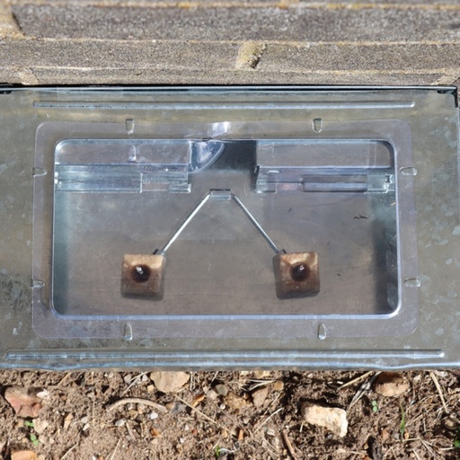 STV  Ready-Baited Live Multi-Catch Mouse Trap