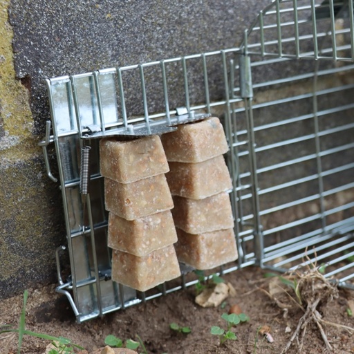 STV  Ready-Baited Multi-Catch Rat Cage Trap