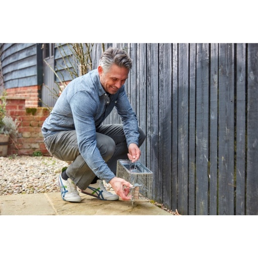 STV  Ready-Baited Rat Cage Trap