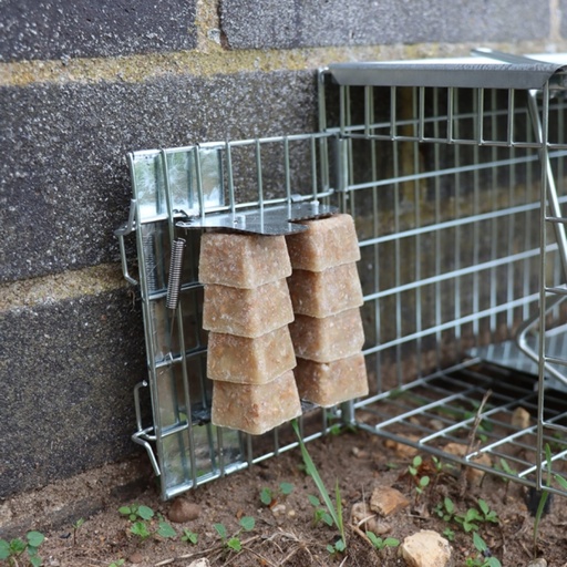 STV  Ready-Baited Rat Cage Trap