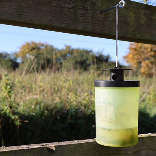 STV  Ready-Baited Wasp Trap