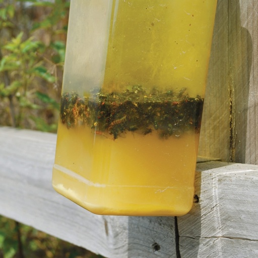 STV  Ready-Baited XL Outdoor Fly Trap