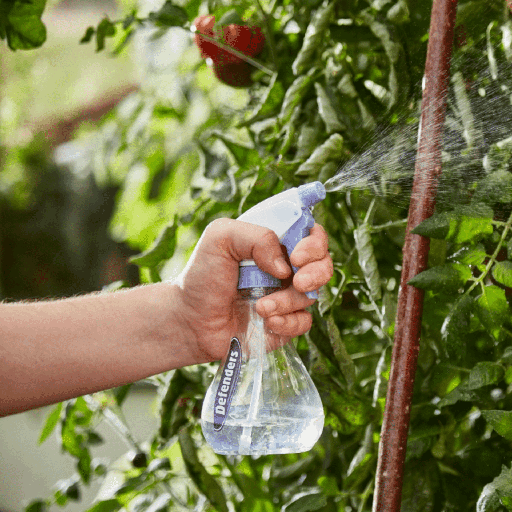 STV  Multi-Purpose Sprayer - 330ml - Assorted Colours
