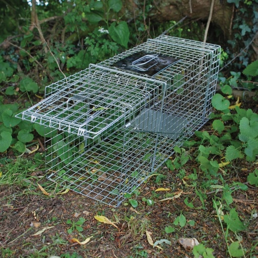 STV  Live Animal Trap - Large Cage