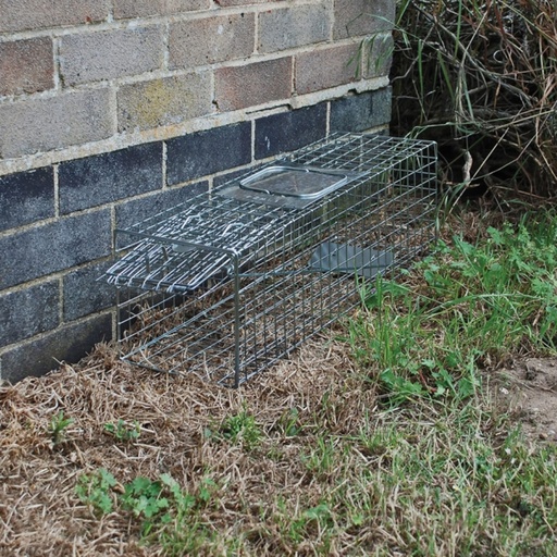 STV  Live Animal Trap - Medium Cage