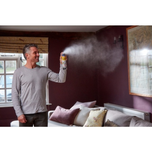 STV  Fly & Wasp Killer - 300ml Aerosol