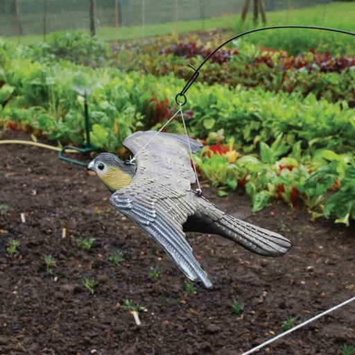 STV  Flying Falcon