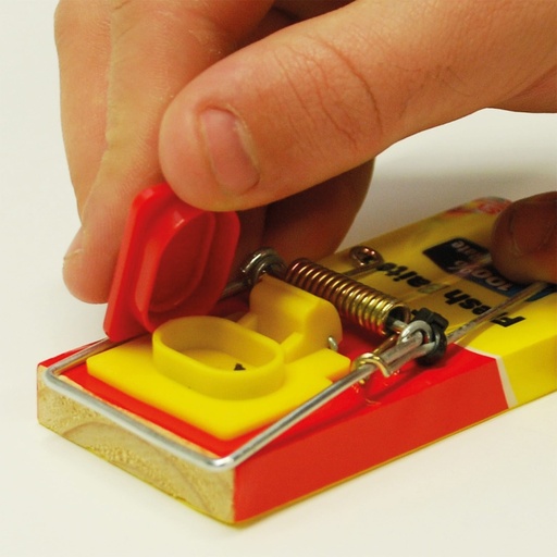 STV  Fresh Baited Mouse Trap
