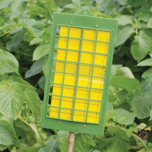 STV  Greenhouse & Garden Insect Catcher Kit