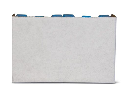 IGLOO-Ice Block Small - Blue  