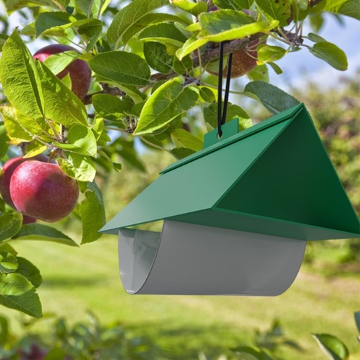 STV  Box Tree Moth Trap Refill