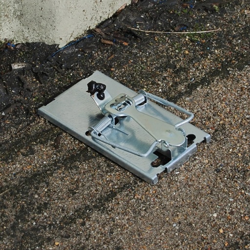 STV  All-Metal Selfset Mouse Trap - Twinpack