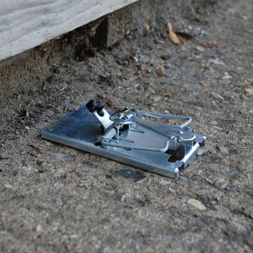 STV  All-Metal Selfset Mouse Trap - Twinpack