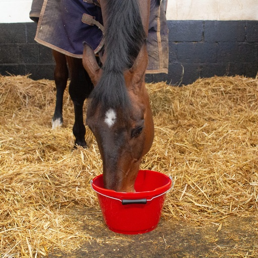 Red Gorilla - Plas - Gorilla Plas 10L Feed Bucket Red