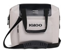 [00062320] IGLOO-Recon 30 - Bone  Image 