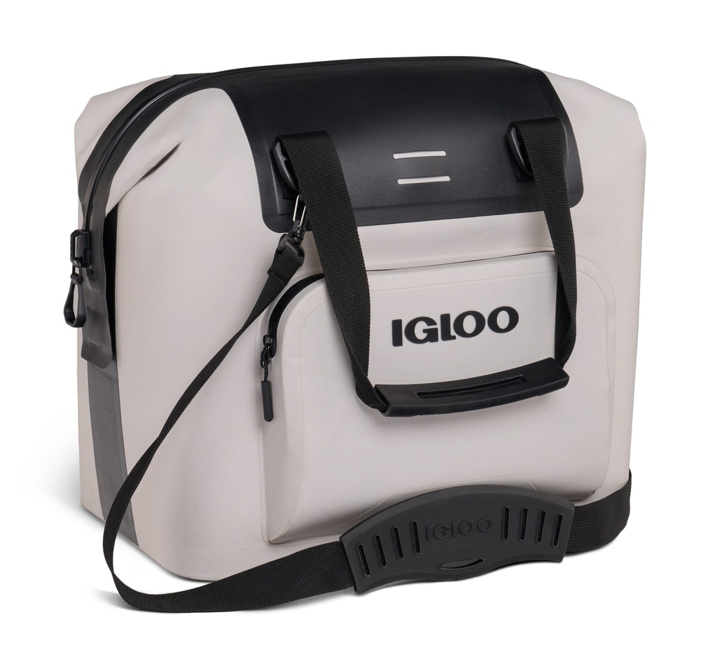 [00062320] IGLOO-Recon 30 - Bone  Image 