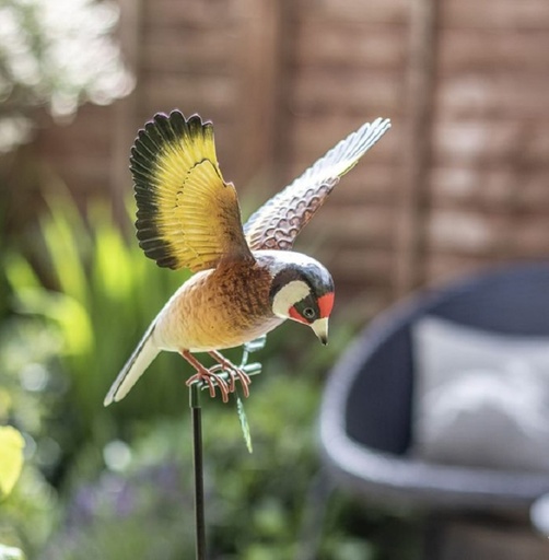 La Hacienda - Hanging Goldfinch