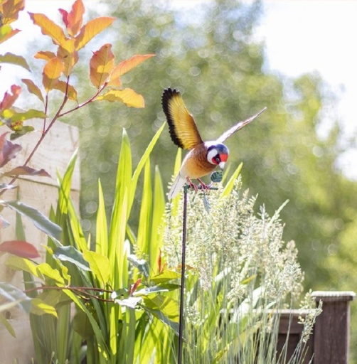 La Hacienda - Hanging Goldfinch