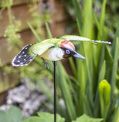 La Hacienda - Inquisitive Woodpecker on Stake