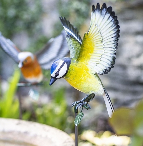 La Hacienda - Metal Inquisitive Blue Tit on Stake