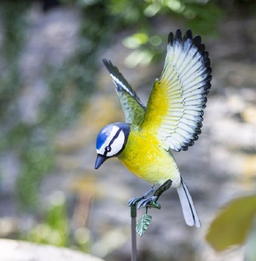 La Hacienda - Metal Inquisitive Blue Tit on Stake