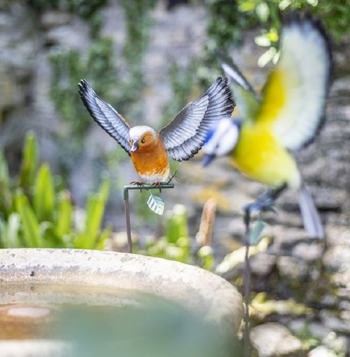 La Hacienda - Metal Inquisitive Chaffinch on Stake