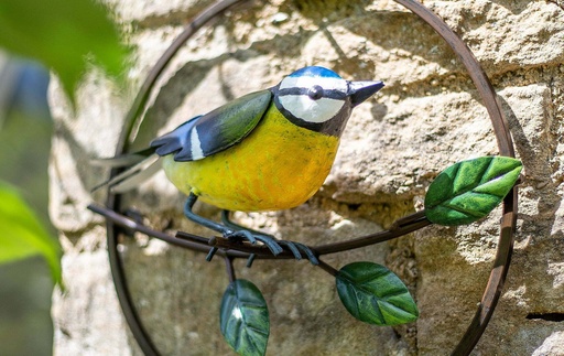 La Hacienda - Perching Blue Tit Garden Wall Art