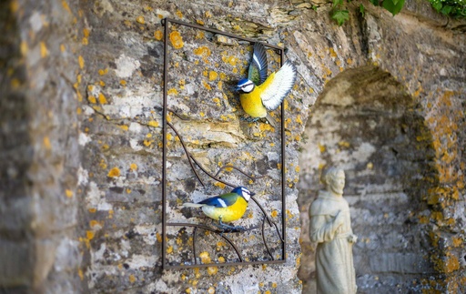 La Hacienda - Tree Top Blue Tit Wall Art Large