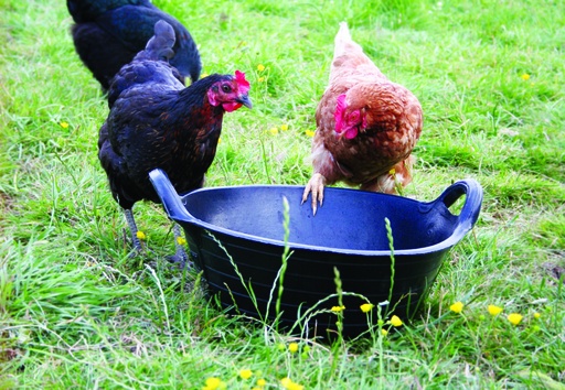 Red  Gorilla - Tyre Rubber Baskets & Skips - Medium
