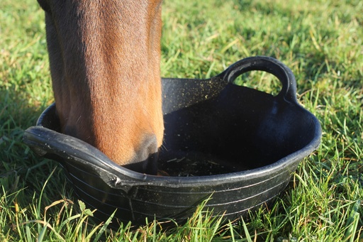 Red  Gorilla - Tyre Rubber Baskets & Skips - Medium