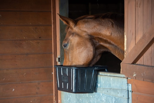 Red  Gorilla - Tyre Rubber Manger & Troughs - Hanging Portable