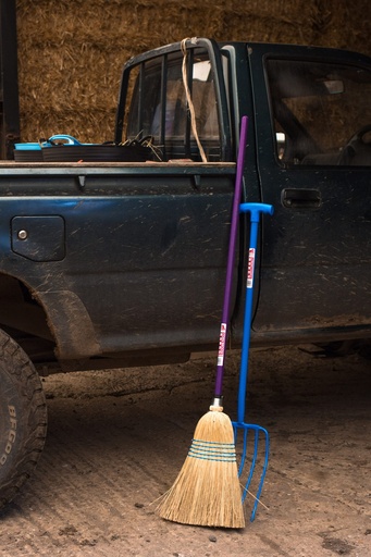 Red Gorilla - 6 Prong Manure Fork - Blue (T-Handle)