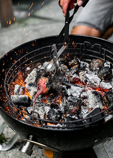 ProQ - Premium BBQ Tongs 