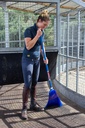 [SP.DELUXE.LGE/BL] Red Gorilla - Deluxe Brooms - Deluxe Corn Broom Large Blue Image 