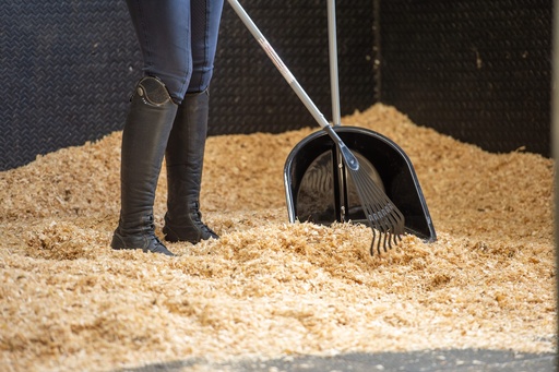 Red  Gorilla - Tidee Companion Set - Black (Tidee + Rake + Broom)