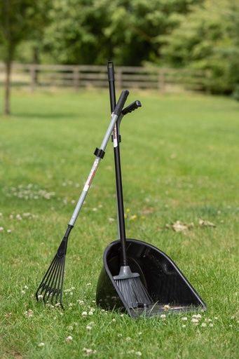 Red  Gorilla - Tidee Companion Set - Black (Tidee + Rake + Broom)