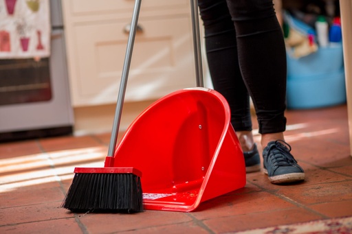 Red  Gorilla - Tidee Companion Set - Red (Tidee + Rake + Broom)
