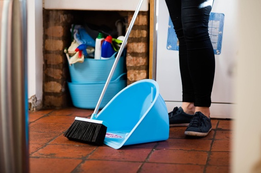 Red  Gorilla - Tidee Companion Set - Sky Blue (Tidee + Rake + Broom)